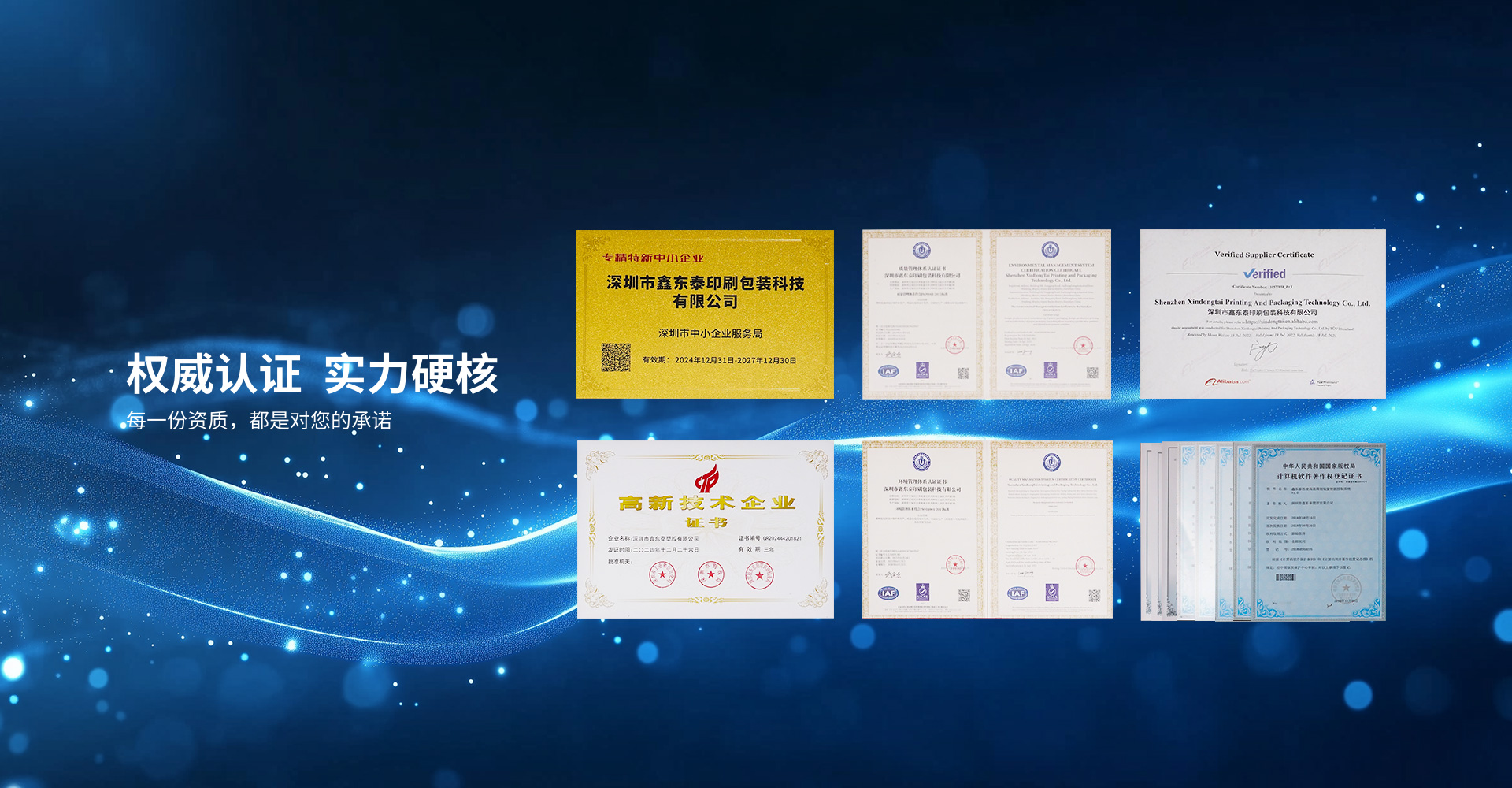 权威认证,实力硬核